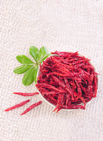 ӡ��S17���� ��������11�f(w��n)-13�f(w��n)SHU��