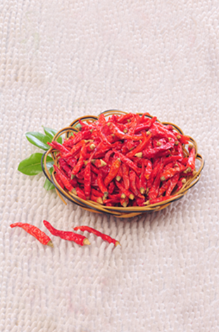 �tҰɽ������������10�fSHU)