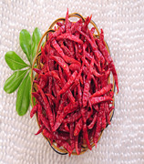 ӡ��S17���� ��������11�f(w��n)-13�f(w��n)SHU��