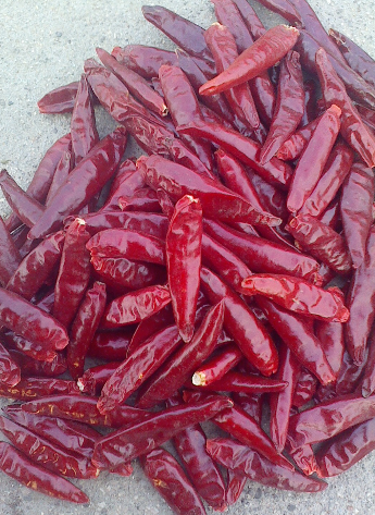 �t̫�(y��ng)����������������6�f(w��n)����SHU��