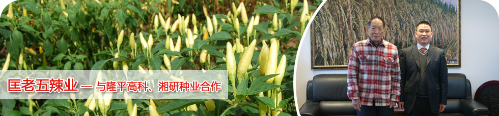 ��������Ʒ