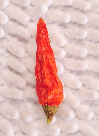 Ұɽ������������13�fSHU��