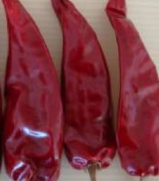 �涼�t��΢������1�f(w��n)����SHU��