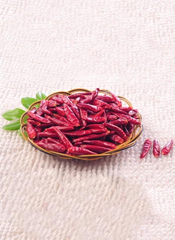 ������(�����ͣ�����4�f-8�fSHU)