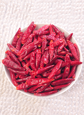 ������(������������4�f-8�fSHU)