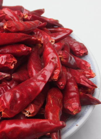 ��һ���t������������5�f-6�fSHU��