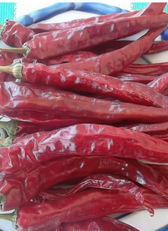 �涼�t��΢���ͣ�1�f����SHU��