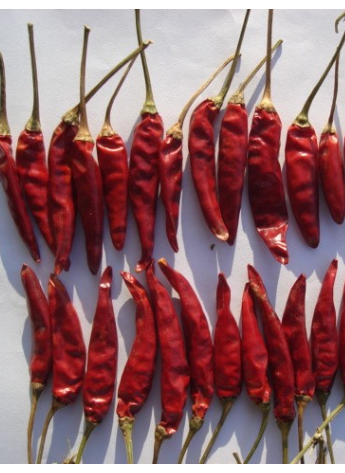 �涼�t��΢������1�f����SHU��