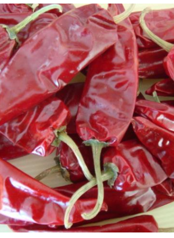 �涼�t��΢������1�f����SHU��