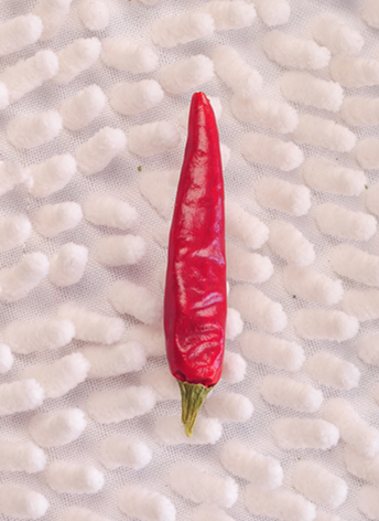 �M���ǣ������ͣ�10�f����SHU��