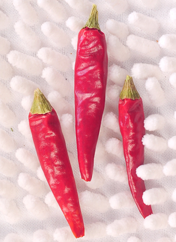 �M���ǣ������ͣ�10�f����SHU��