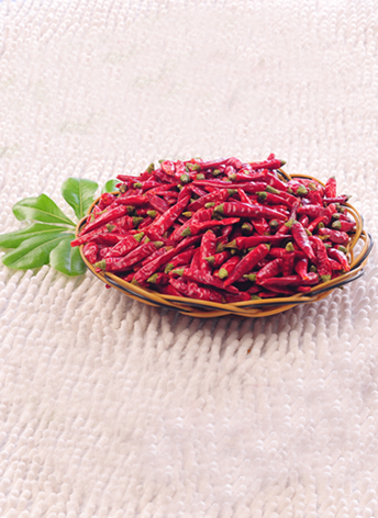 �M���ǣ���������10�f����SHU��