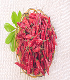 ������������������10-11SHU��