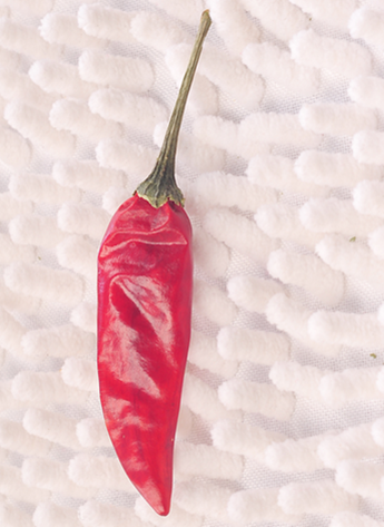 ������������������10-11SHU��