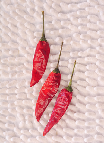 ������������������10-11SHU��