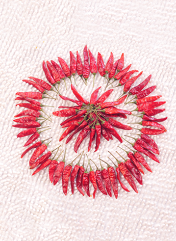 ������������������10-11SHU��