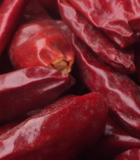 �ӏ��^����������4�f(w��n)-5�f(w��n)SHU��