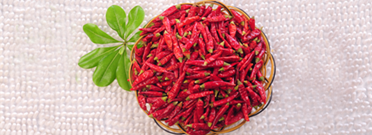 �M���ǣ���������10�f����SHU��