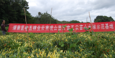 ���ϡ����������I(y��)�����ЙC��Ұɽ������