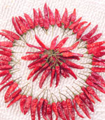 С�׽�����������12�f(w��n)SHU)