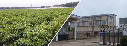 ������������������12�fSHU)