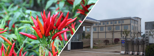 �t̫�(y��ng)����������������6�f(w��n)����SHU��