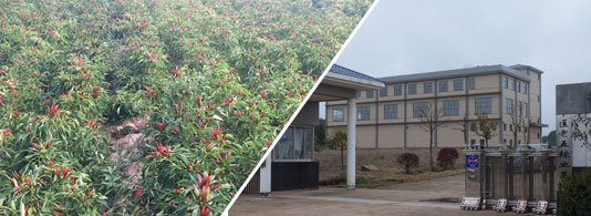 �������������7�f����SHU��