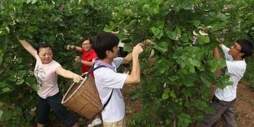 ��������ز�ժ���r����