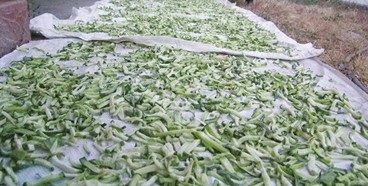 ���������I(y��)���񵶶�