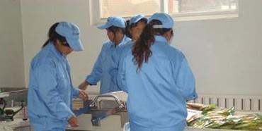 ���������I(y��)���b��