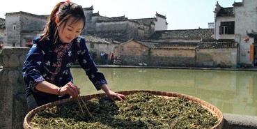 ���������I(y��)�����R�X�{