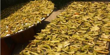 ���������������