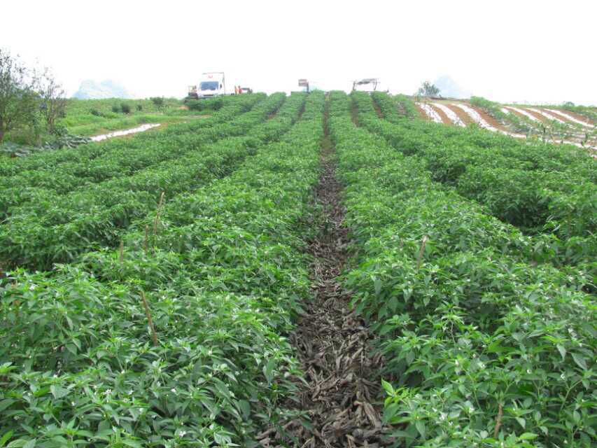 ���������I(y��)Ҏ(gu��)ģ�����a(ch��n)����