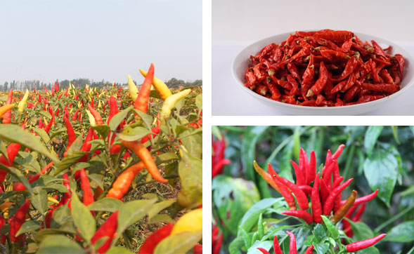 ���ϸ��������l(f��)�Ј�(ch��ng)