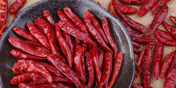 ���������l(f��)�Ј�