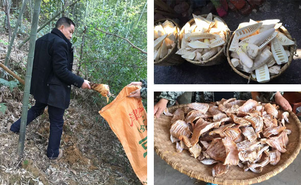 ���������l(f��)�Ј�