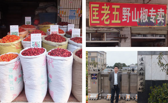 ӡ������