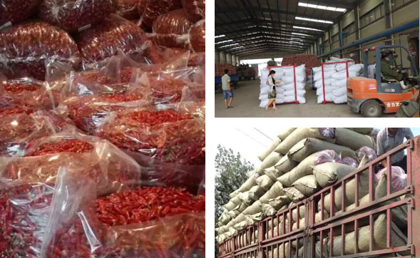 ��ɽ���������l(f��) �ҿ��������I(y��) �ʛ]�e