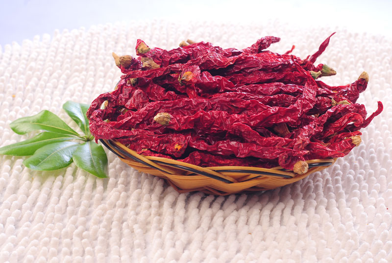 �½�������γɞ��硰���G�G�����{�@���c(di��n)!